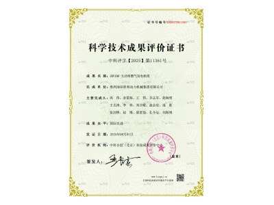 勝動集團公司20V190 大功率燃?xì)獍l(fā)電機組通過國際先進水平鑒定