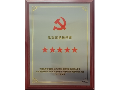 雙星閃耀映初心 黨建引領(lǐng)強(qiáng)發(fā)展&mdash;&mdash;勝動集團(tuán)兩黨支部同獲五星級殊榮