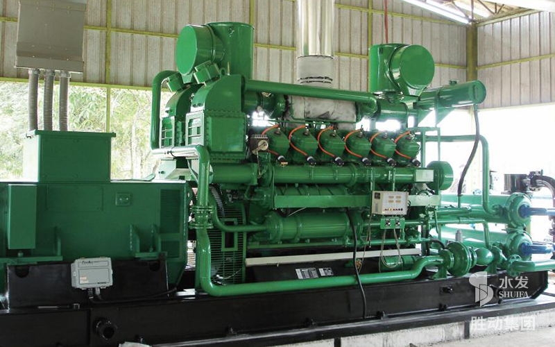 泰國亞洲棕櫚油公司沼氣發(fā)電項目